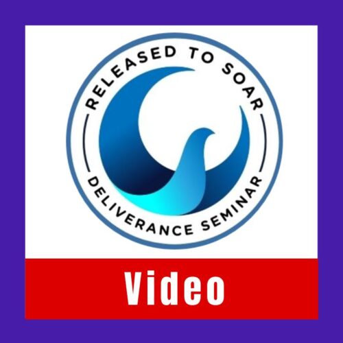[Video] "Released to Soar" Deliverance Seminar